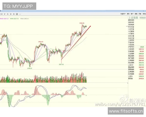 深圳网球队防守策略深度解析与战术应用探讨